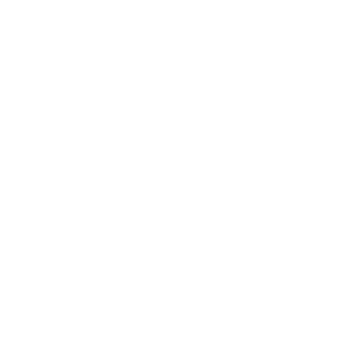 CV Safari Logo